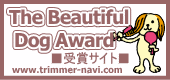 The Beautiful Dog Award
